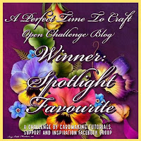 Winner of Spotlight Favorite at A Perfect Time To Craft Challenge