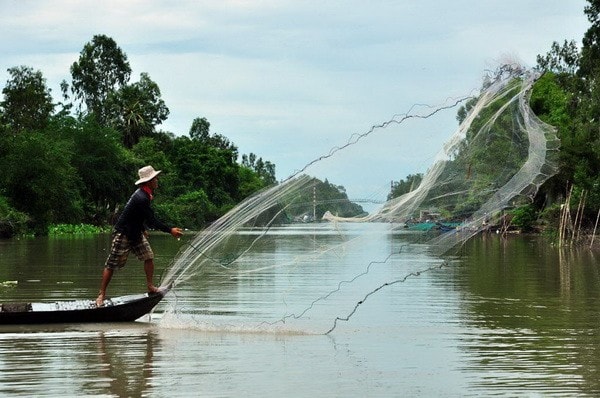 Trên sông thả lưới