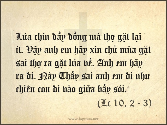 Lúa chín đầy đồng mà thợ gặt lại ít. Vậy anh em hãy xin chủ mùa gặt sai thợ ra gặt lúa về. Anh em hãy ra đi. Này Thầy sai anh em đi như chiên con đi vào giữa bầy sói. (Lc 10, 2 - 3)