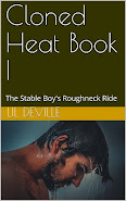 The Stable Boy's Roughneck Ride