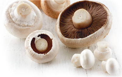 What is the cost of setting up a button mushroom factory?