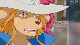 ワンピースアニメ ゾウ編 758話 ワンダ WANDA ミンク族 MINK TRIBE | ONE PIECE Episode 758