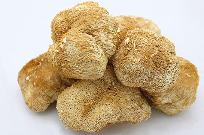 Lion's mane mushroom benefits | Mushroom benefits | Biobritte mushrooms