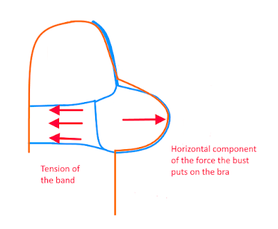 Band tension counteracting the outwards force of the bust