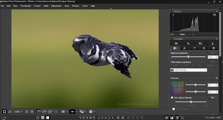 Canon Digital Photo Professional (DPP) 4.15.20 for Windows Sample Image Editing Screen Grab