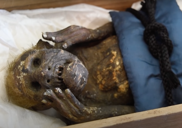 Điều tra xác ướp "nàng tiên cá" 300 năm tuổi, các nhà khoa học phát hiện điều bất ngờ bên trong