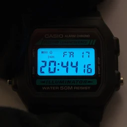 electroluminescent backlight in watch