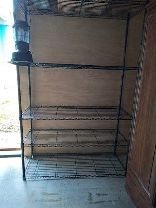 Cleared off shelves for food storage in outbuilding!