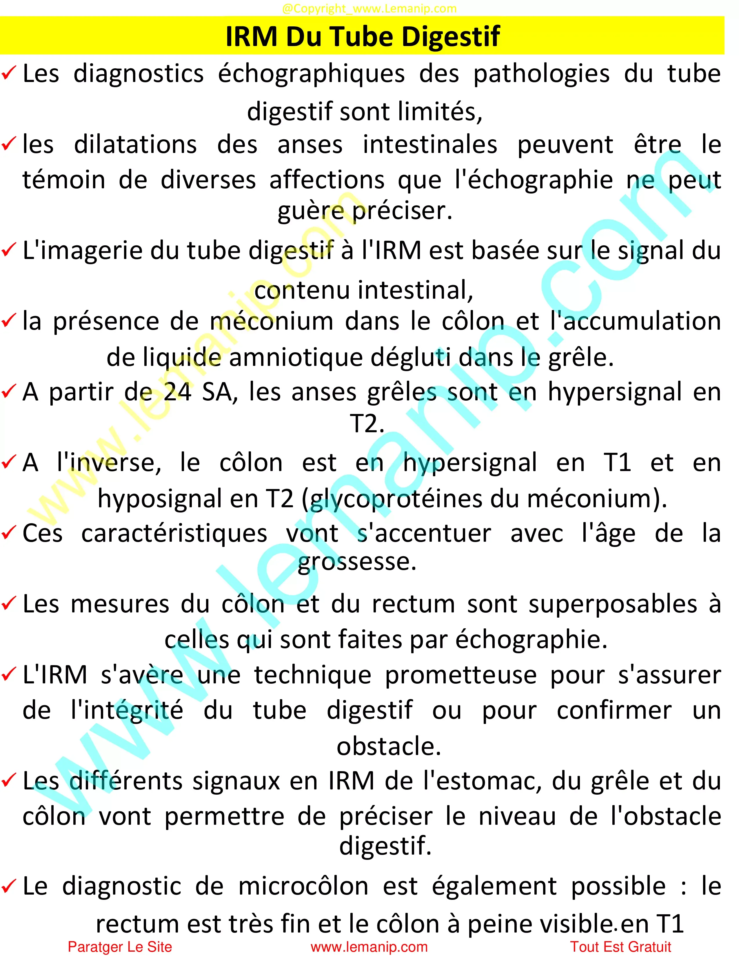 IRM Du Tube Digestif