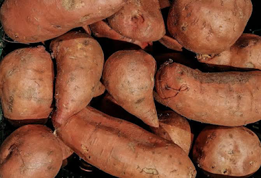 Many Sweet Potatoes, they are reddish brown in color