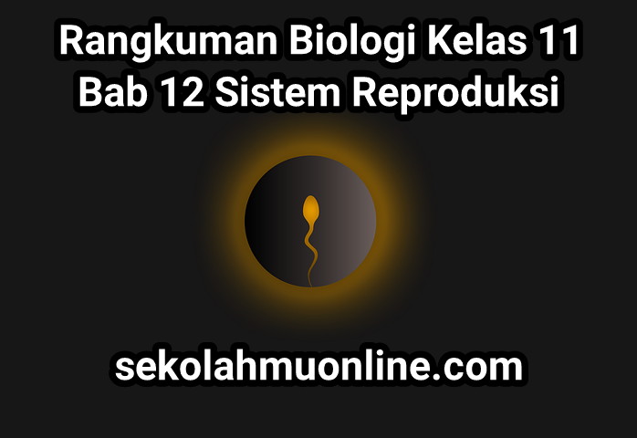 Rangkuman Biologi Kelas XI Bab 12 Sistem Reproduksi ~ sekolahmuonline.com