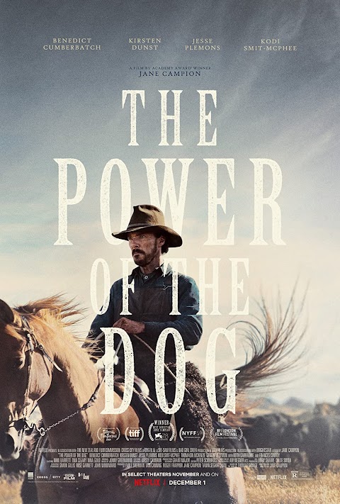 قوة الكلب The Power of the Dog (2021)