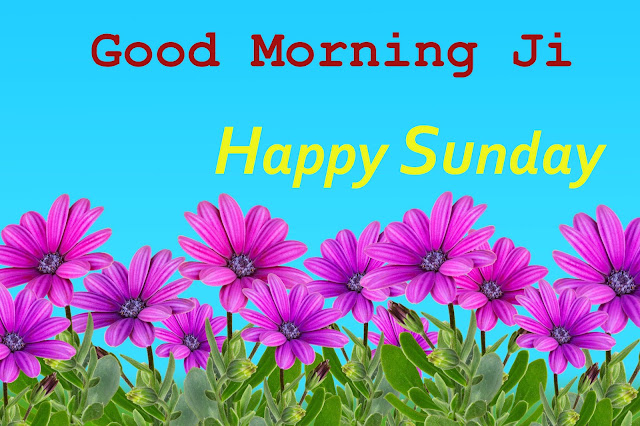 Good Morning Ji Happy  Sunday