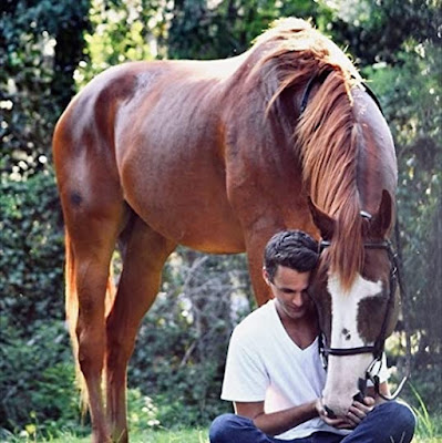 Photograph of a horse nuzzling his human