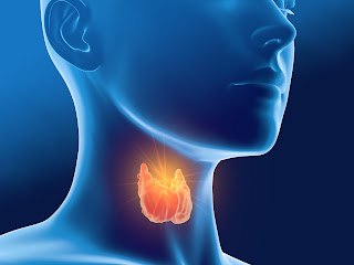 Best Supplements For Thyroid Problems