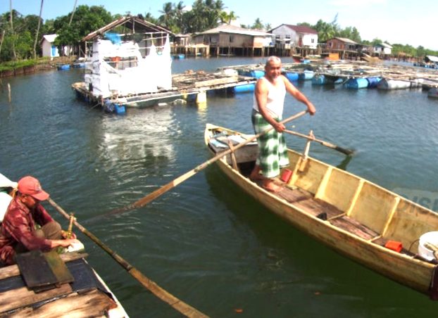 Sekitar 13.700 Nelayan Tradisional Tidak Melaut, Berikut Harapan ketua KNTI Bintan