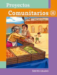 Libro Proyectos Comunitarios