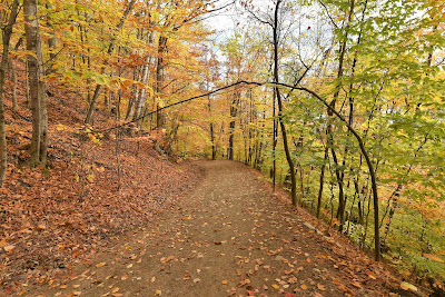 Trans Canada Trail fall colours Quebec.