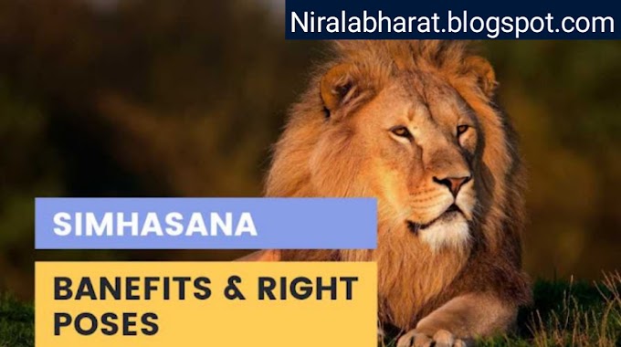 Banefits And Right Pose Of Simhasana In Hindi