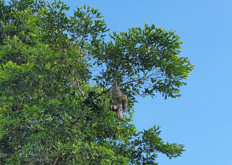 San Blás Guna Yala