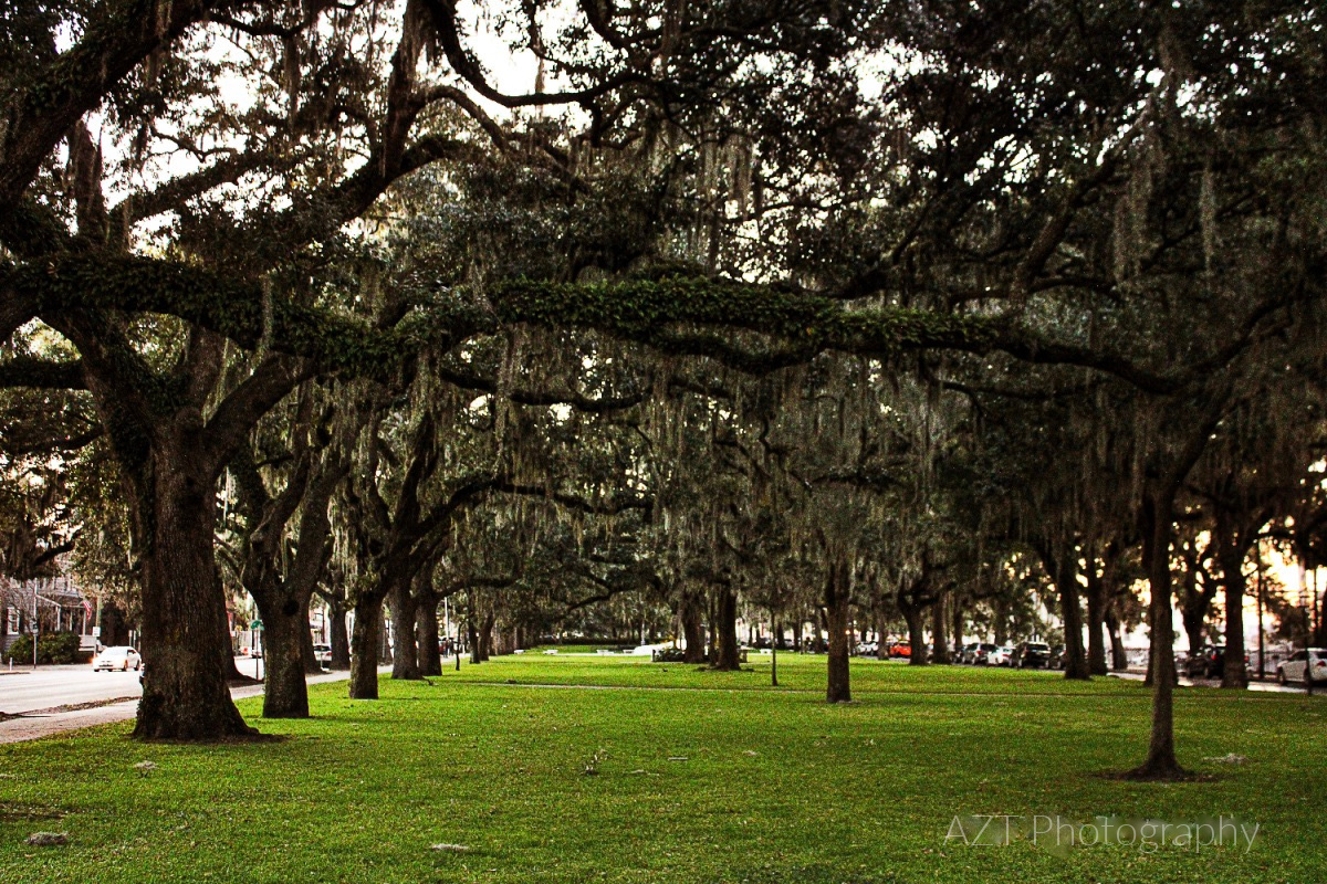 Savannah's Historic River Front | Ms. Toody Goo Shoes Blog (Photo by AZT Photography)