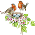 Vögel auf Frühlingszweigen, Birds on spring branches