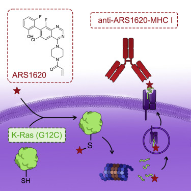 Drug Turns Cancer Gene Into 