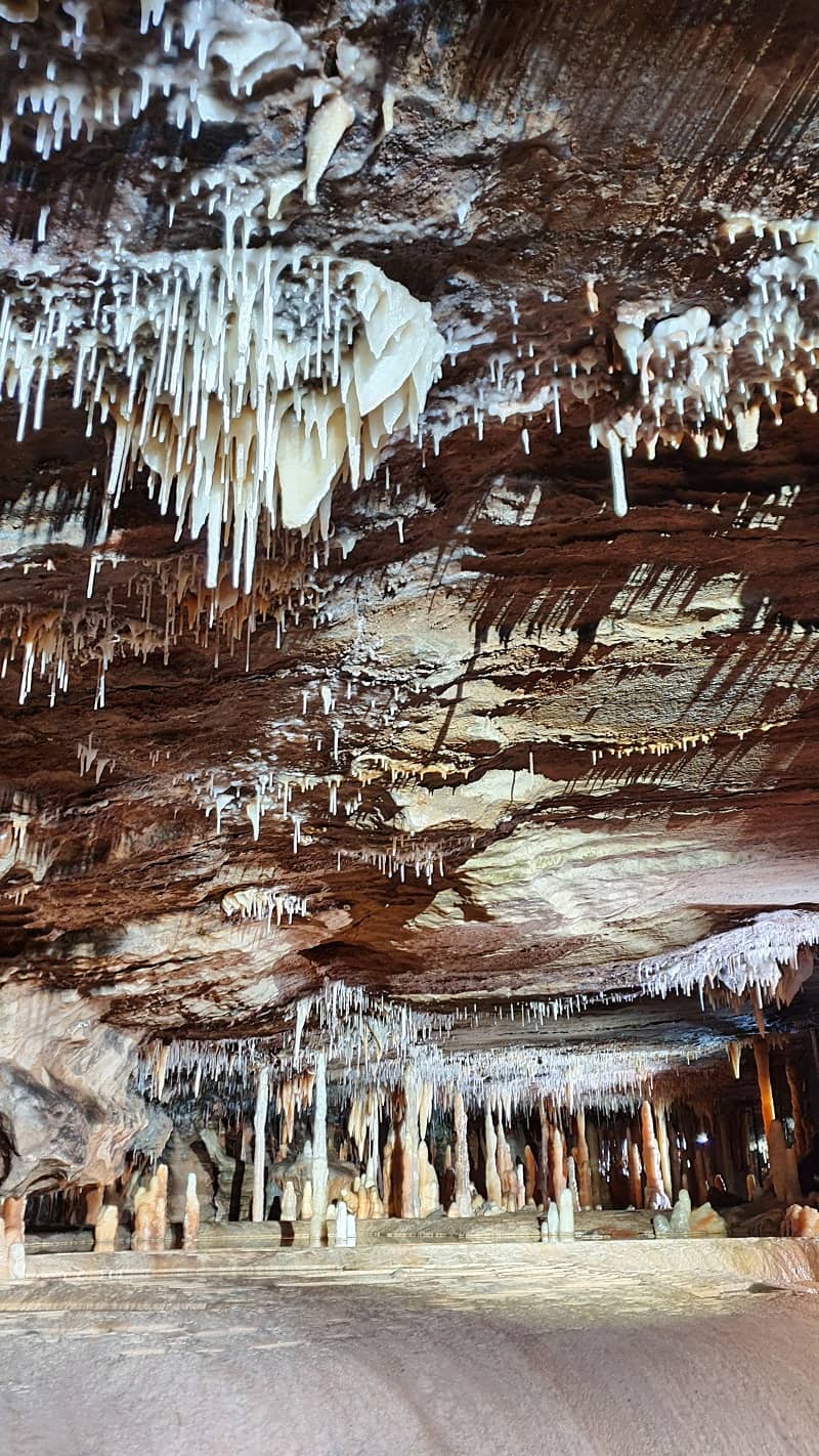 Buchan Caves Reserve