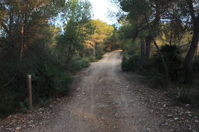 BONASTRE-LA MOLA-BOSC DE L'OBAGA DEL MAIÀ-MUNTANYES DEL TET-MASIA D'ESCANSA, camí de Puig-Roig