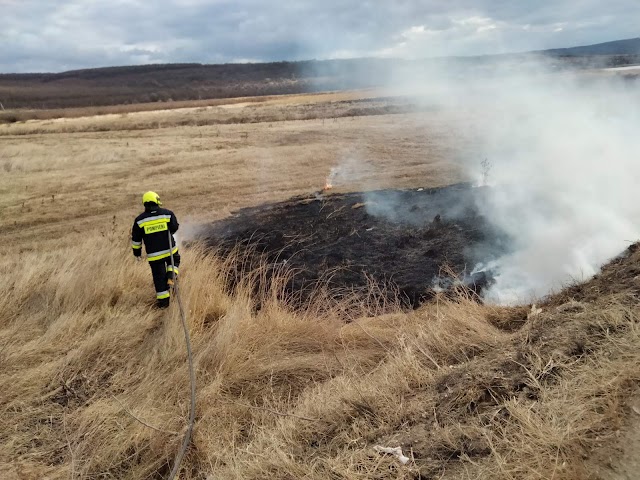 Secţia Situaţii Excepţionale Leova se adresează cu un apel: Nu dați foc la iarbă uscată
