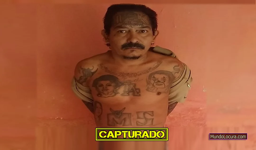 El Salvador: Capturan a peligroso pandillero alias "Violento" en Santa Ana