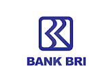 Lowongan Kerja (loker) Kediri Internship Bank BRI
