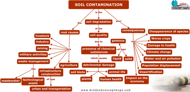 Conceptual map of soil contamination, its causes and effects.