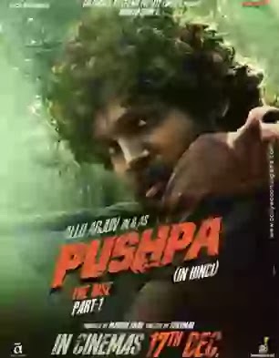 Pushpa Movie Pdisk Link - Pdisk Movie Online 