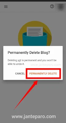 Blogger website Permanently Delete