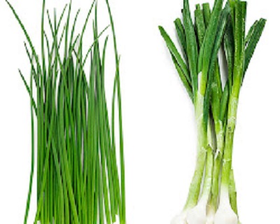 Chives