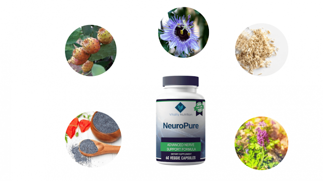 How does NeuroPure Effective to Enhance Nerve Functions?
