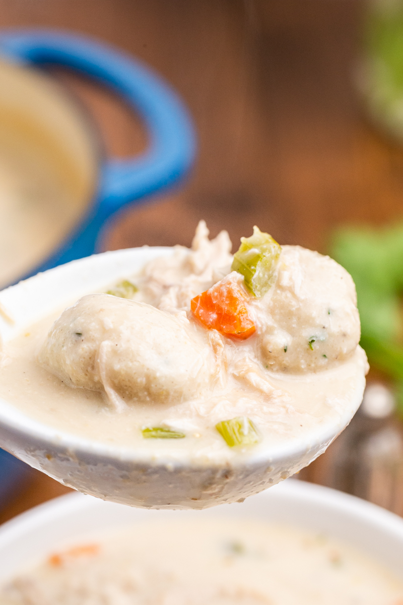 Closeup photo of a ladle full of Keto Herbed Chicken and Dumplings over a pot.