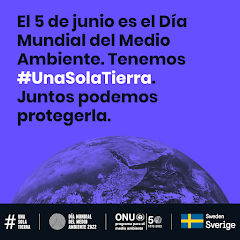 5 JUNY. DIA MUNDIAL DEL MEDI AMBIENT. ONU