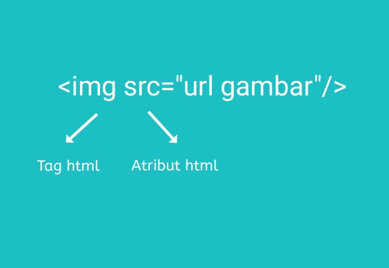 struktur tag img html