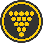 YellowMelen Logo