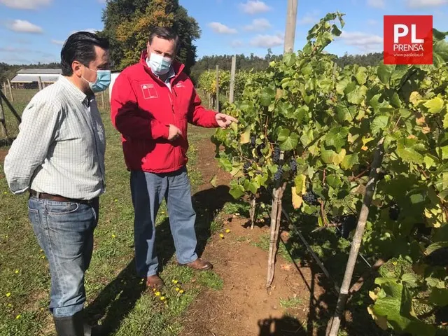 Catastro frutícola 2022