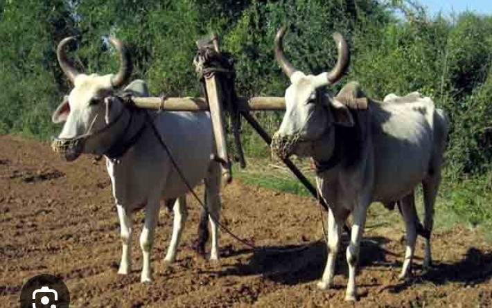 चित्र