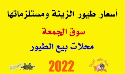 أسعار طيور الزينة فى مصر 2022