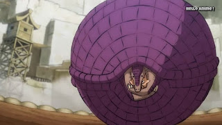 ワンピースアニメ 935話 ワノ国編 | ONE PIECE ギフターズ マジロマン アルマジロのSMILE