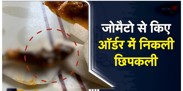 UP: Zomato से शख्स ने मंगाया खाना तो खाने में निकली छिपकली, शिकायत हुई दर्ज Viral Video