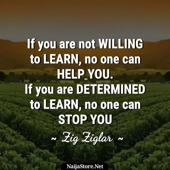 Zig Ziglar's Quote: If you are not willing to learn, no one can help you. If you are determined to learn, no one can stop you - Motivational Words
