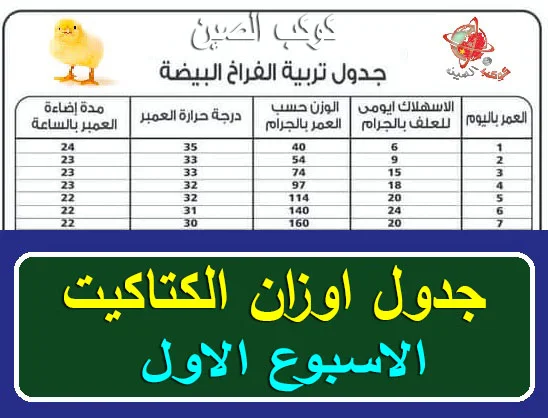 جدول اوزان الفراخ البيضاء" جدول اوزان الكتاكيت البيضاء" الفراخ البيضاء جدول اوزان دجاج التسمين باليوم" جدول اوزان الفراخ البيضه" جدول اوزان الكتكوت الابيض" جدول اوزان الدواجن البيضاء" جدول اوزان الفراخ" جدول اوزان الفراخ التسمين" جدول اوزان الكتكوت" "جدول اوزان الكتاكيت" "جدول اوزان الفراخ الساسو" "الفراخ البيضاء جدول أوزان دجاج التسمين باليوم" "الدواجن البيضاء جدول اوزان دجاج التسمين" "جدول أوزان الدجاج الابيض" "جدول اوزان دجاج التسمين باليوم" "جدول اوزان الكتكوت الكب" "جدول اوزان الدواجن" "جدول اوزان الفراخ الكب" "جدول أوزان الفراخ الساسو" "جدول أوزان الفراخ الرزى" "جدول أوزان الفراخ البلدي" "جدول أوزان الفراخ البلدي الهجين" "جدول اوزان الفراخ الساسو باليوم" "جدول اوزان الفراخ الفيومى" "جدول وزن الفراخ التسمين"