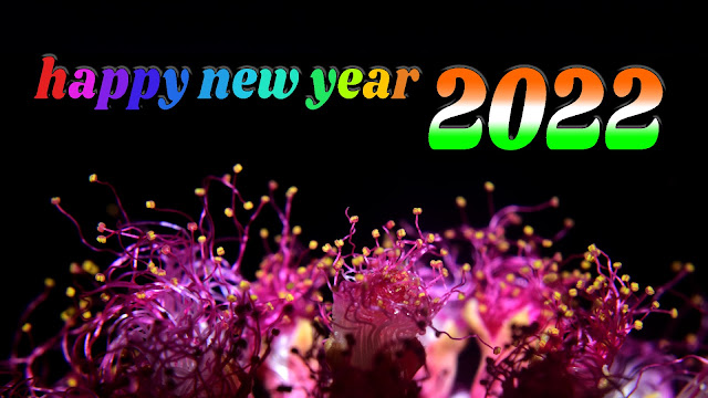 Happy New Year 2022, SMS, Quotes, Blessings, Status, Messages, Greetings, Pinterest,Twitter, wishes,