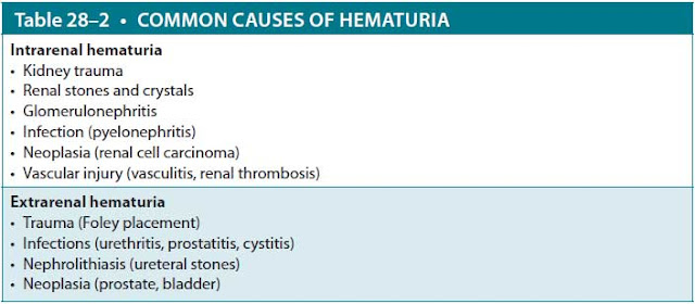 common causes of hematuria